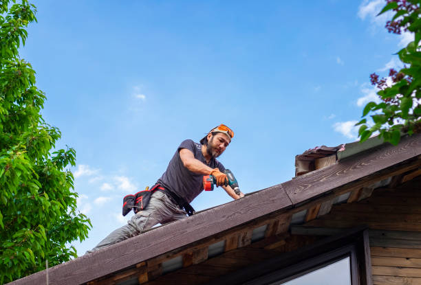 Best Roof Moss and Algae Removal  in Vergennes, VT